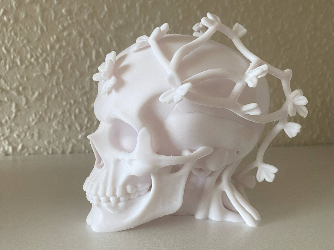 Skull with vines and leaves