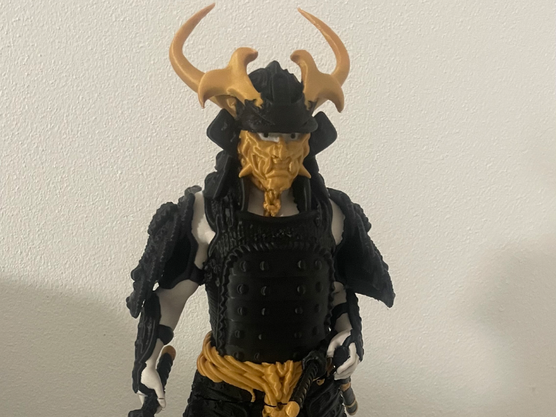 samurai / ronin