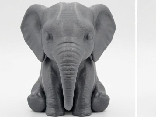 Cute Baby Elephant