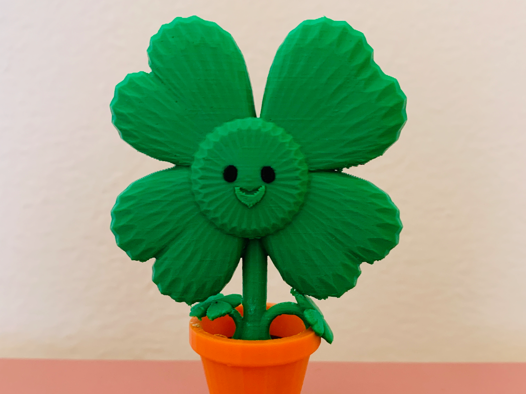 Clover leaf in flower pot