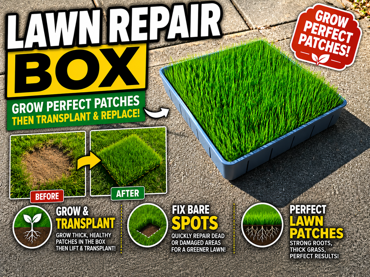 Lawn Box - Lawn Repair