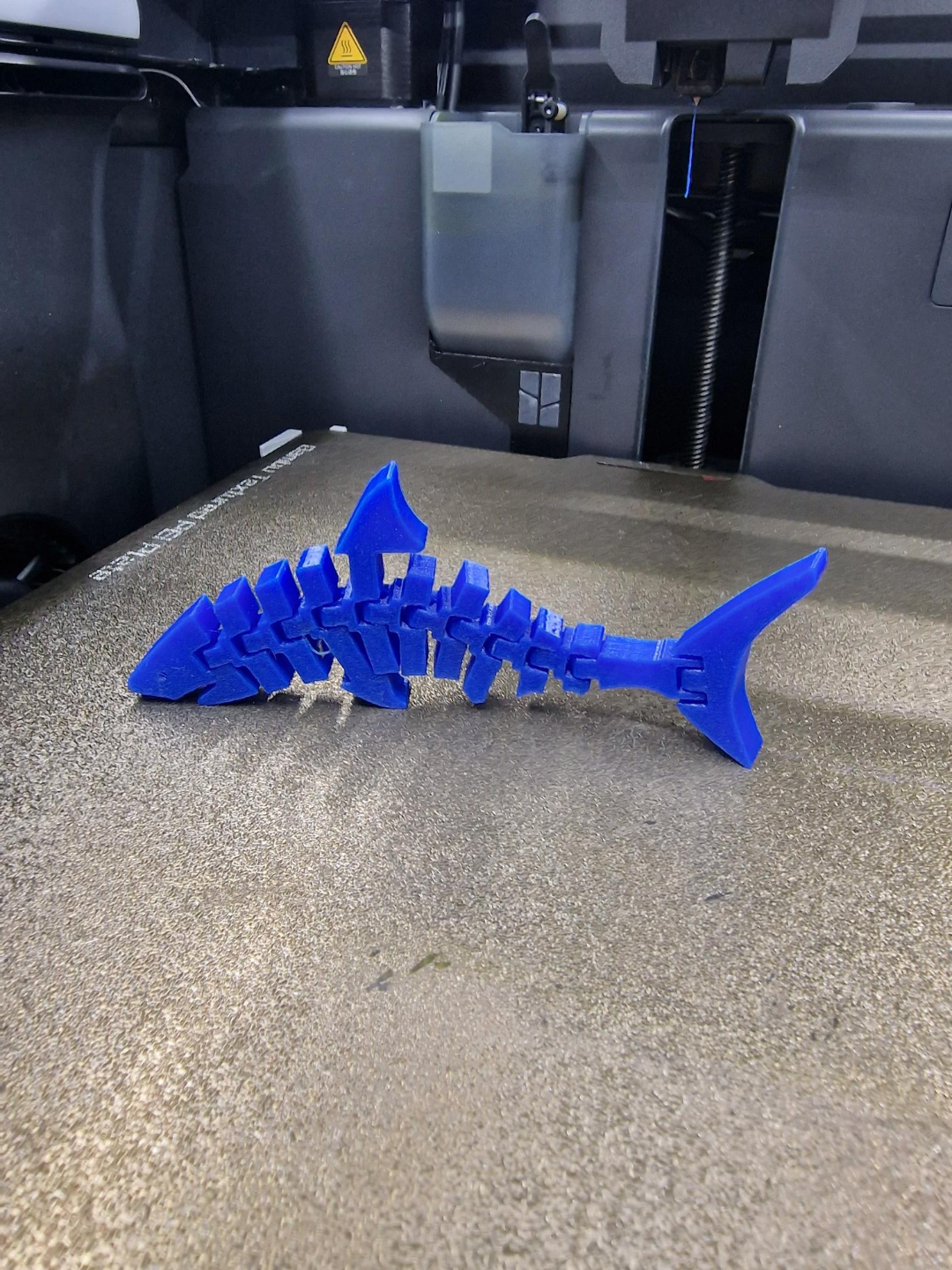 Flexi Hai / Flexy Shark / Articulated