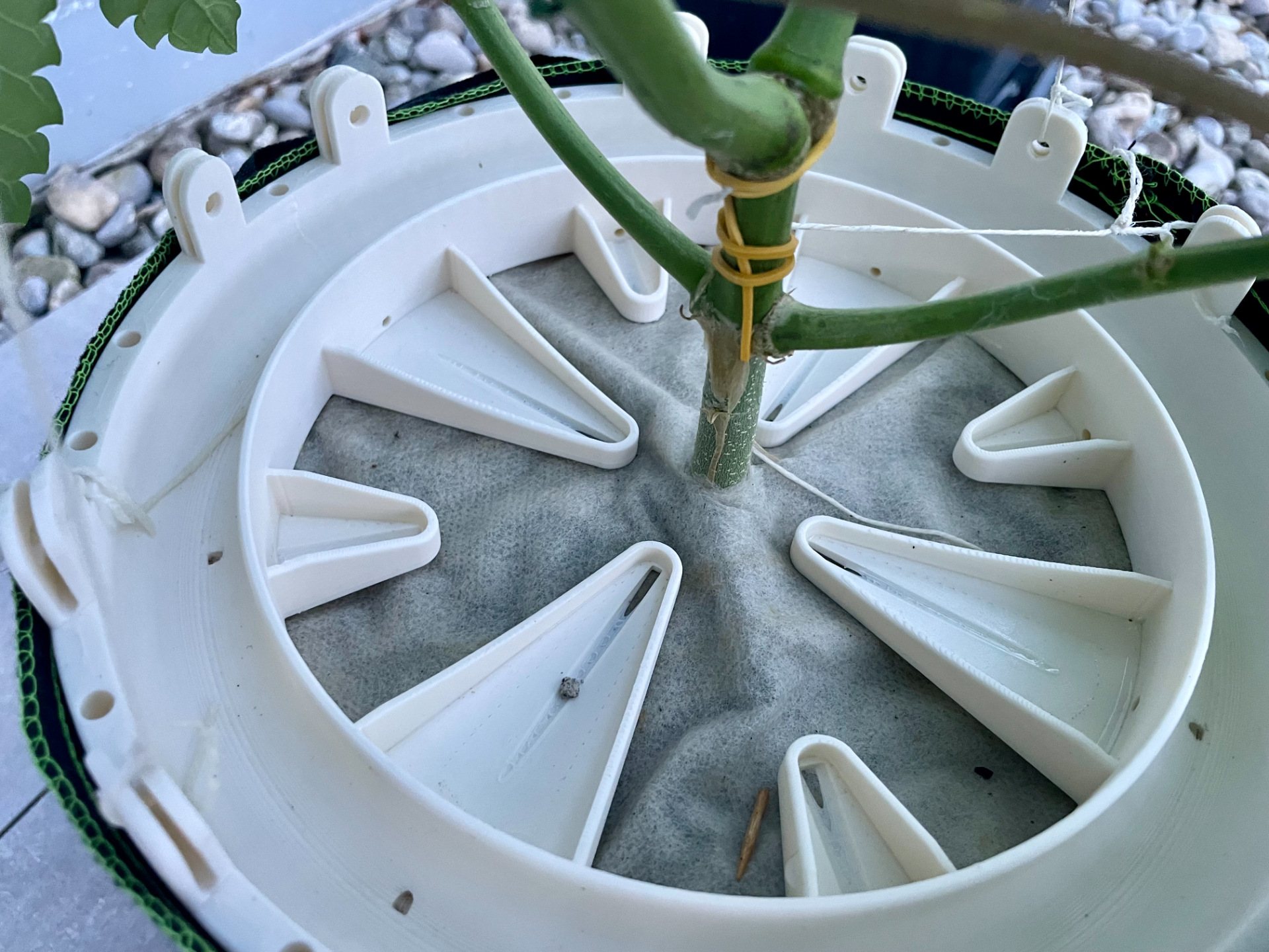 Watering & LST Ring for Plants & Growers