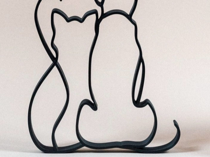 Chat et chien