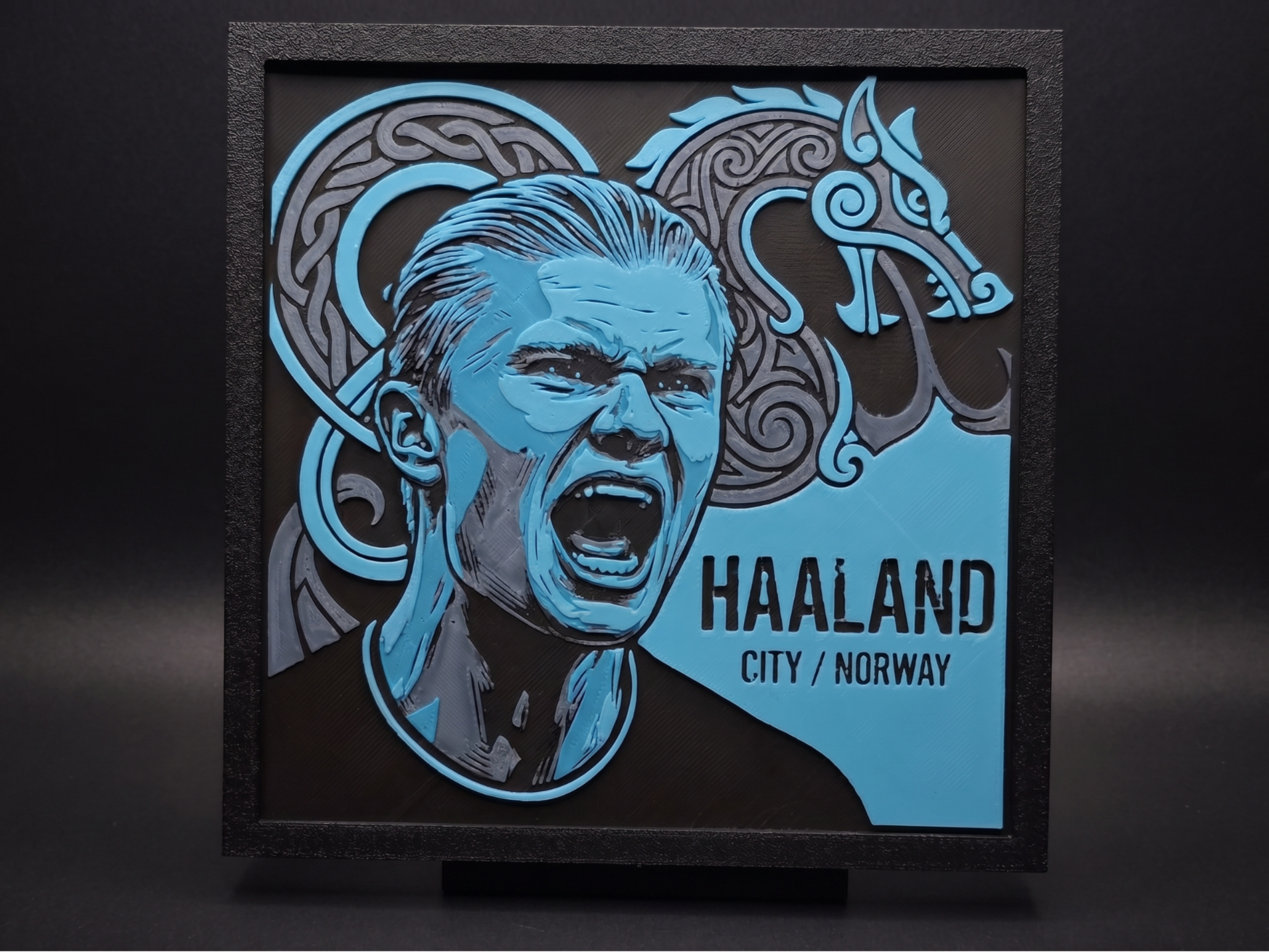 Haaland Portrait - Hueforge