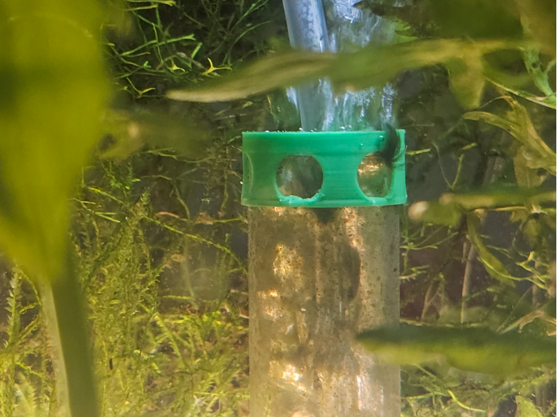 Sponge Filter Tube Cap for Aquariums