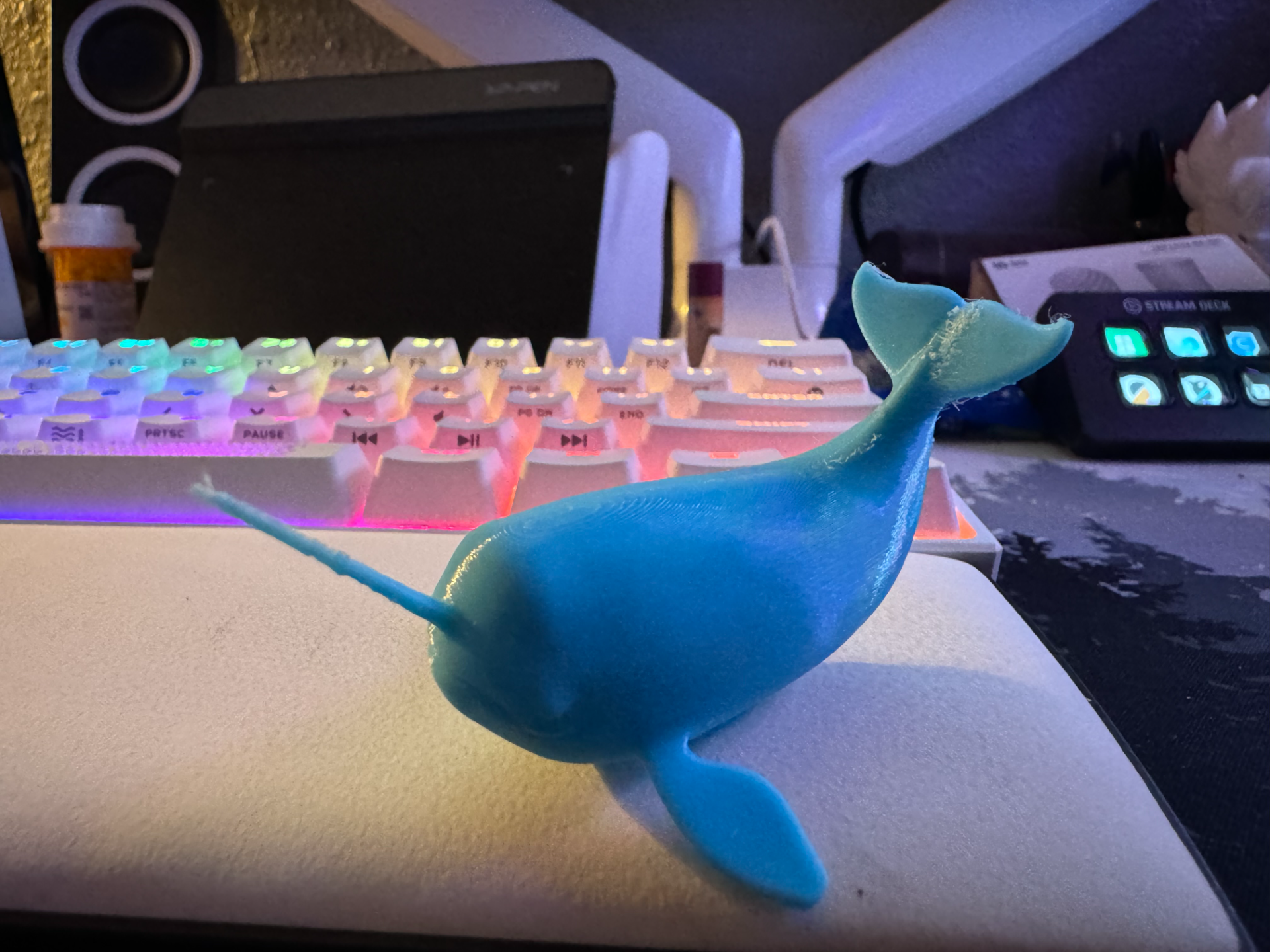 Cute Little Narwhal