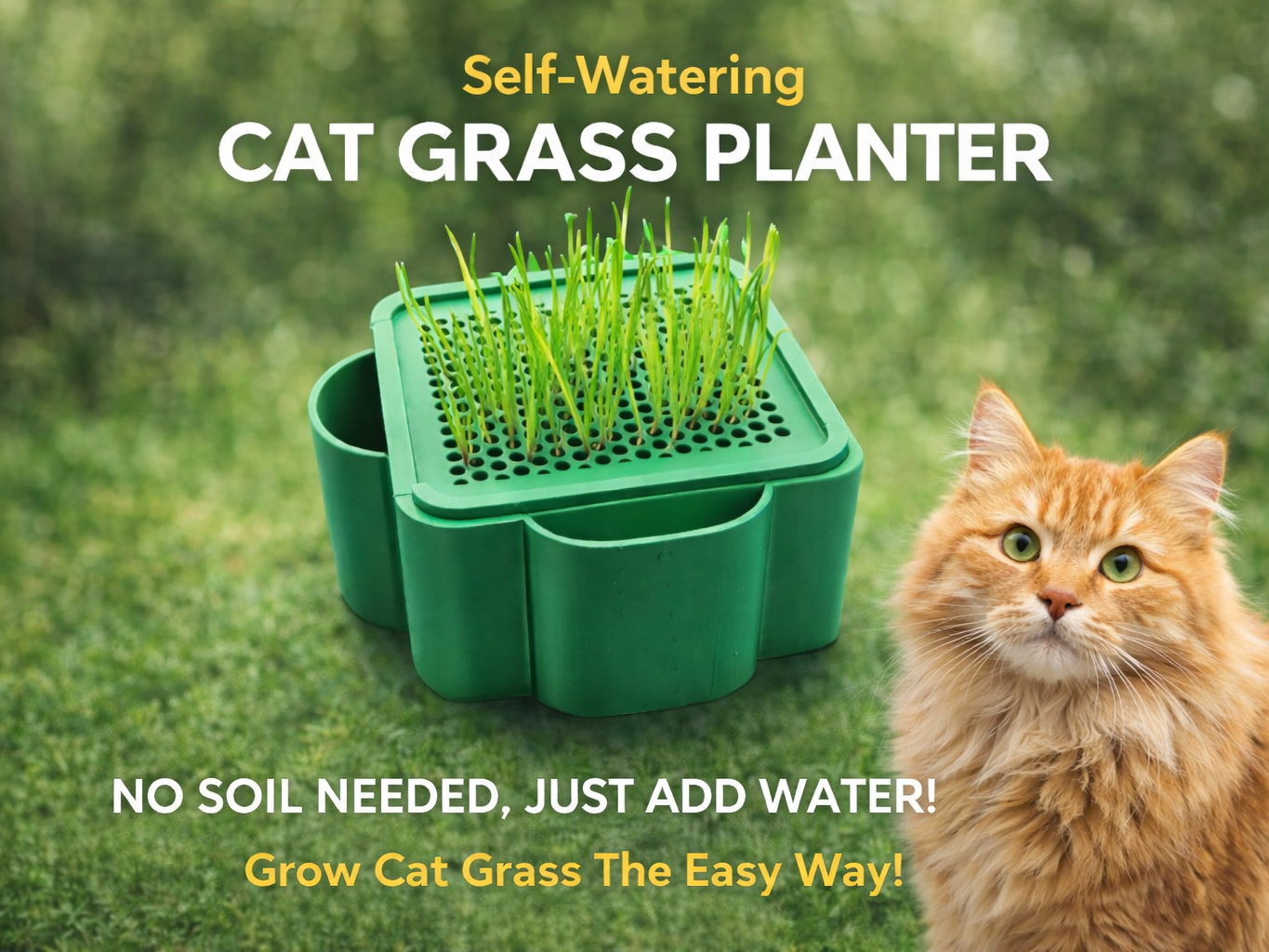 Selfwatering Cat grass Planter Square