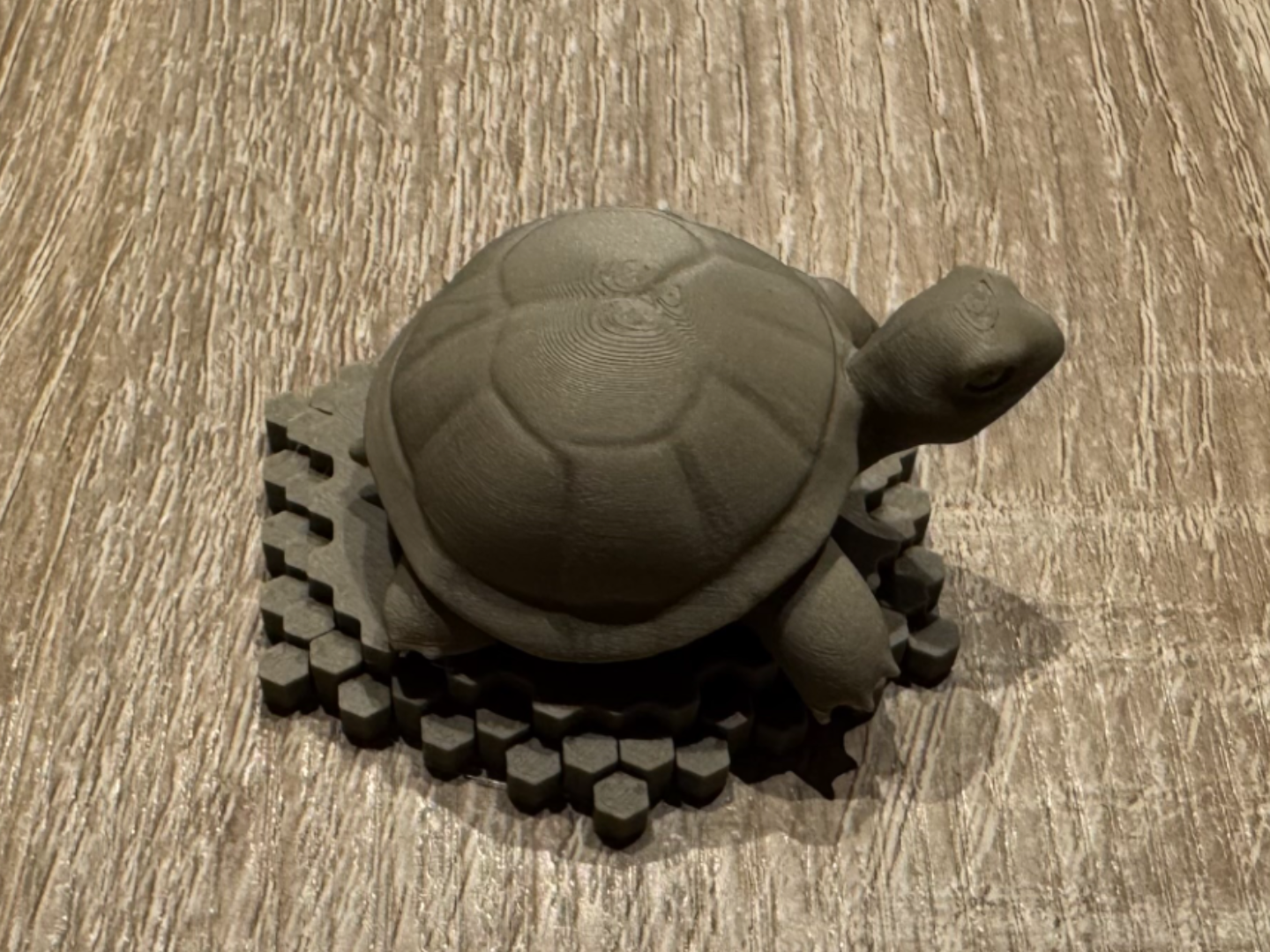 Tortoise