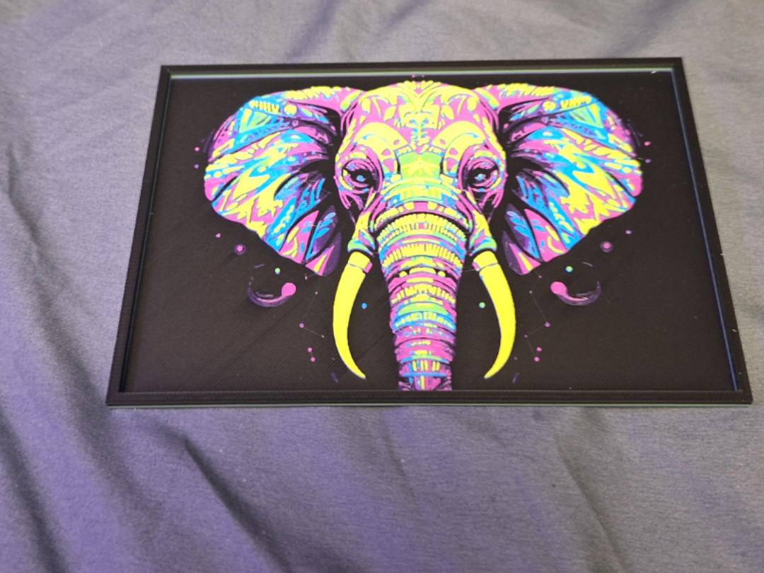 Colorful Elephant