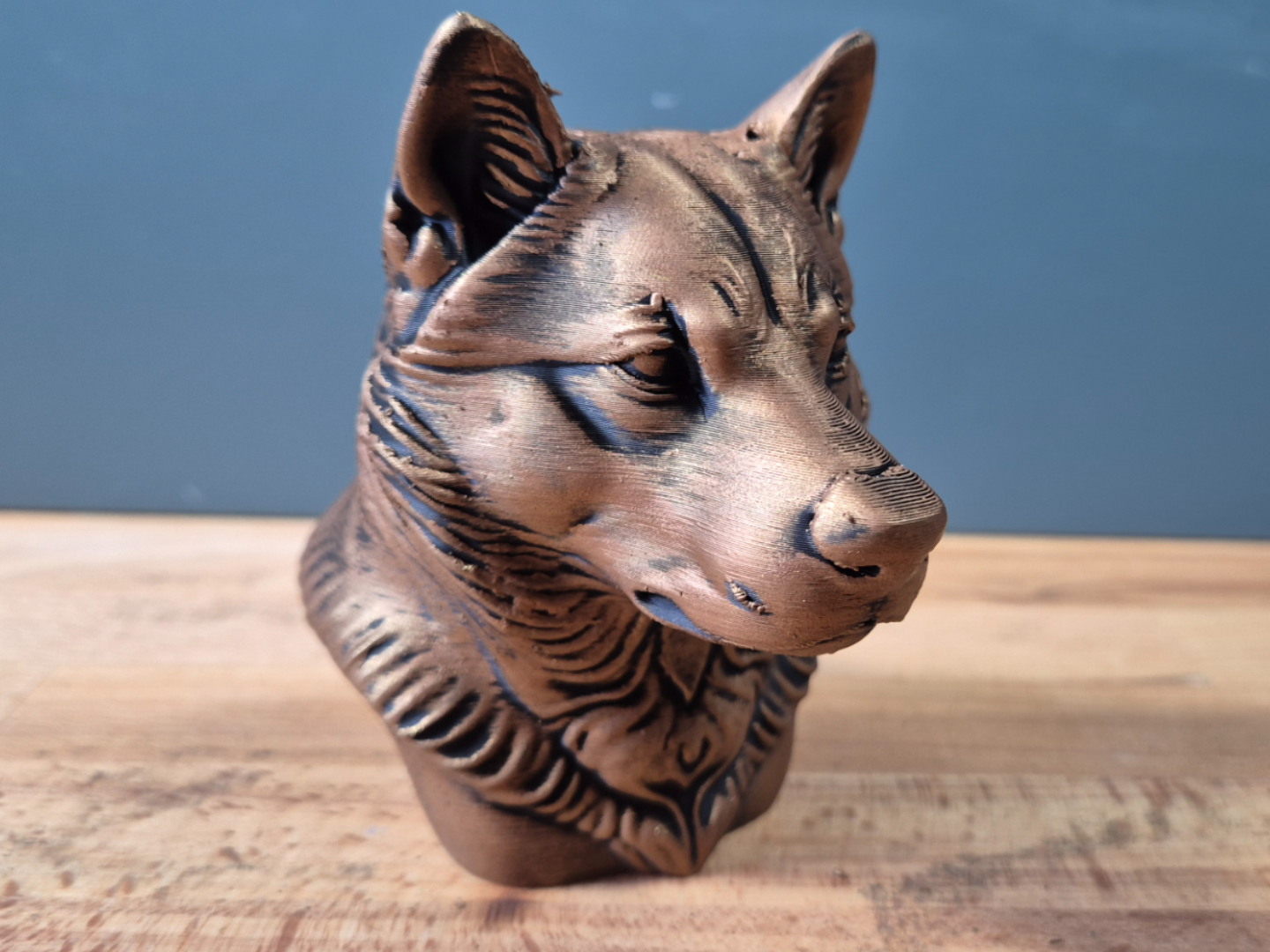 Shikoku Bust