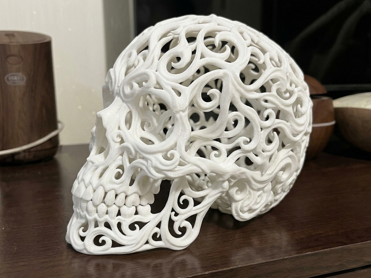 Teschio Voronoi Ornamentale da Collezione