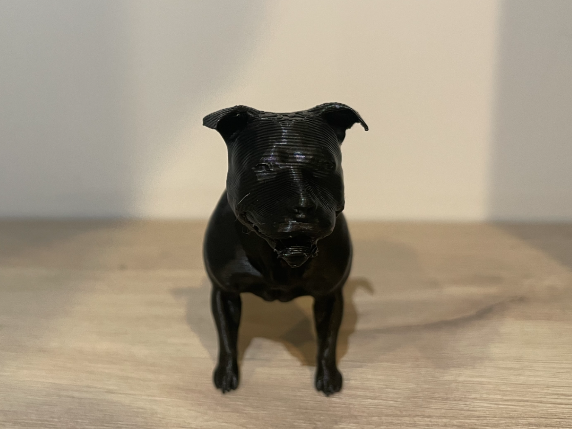 STAFFY DOG cute print (Stafford shire terroir)