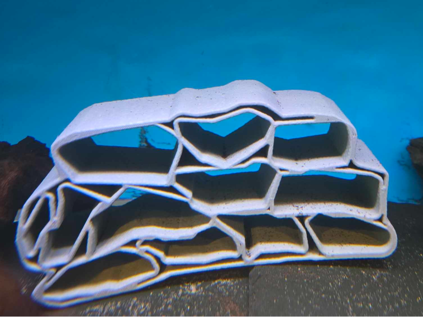Fish cave