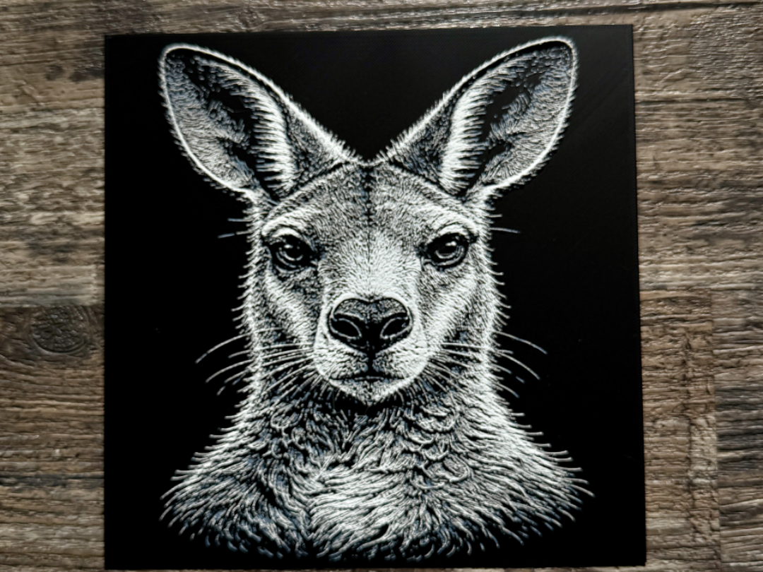 Kangaroo Wildlife Series
