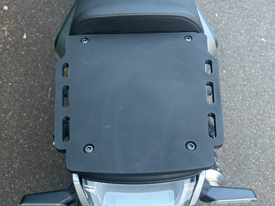 Svartpilen 401 2020 model pillion seat rack