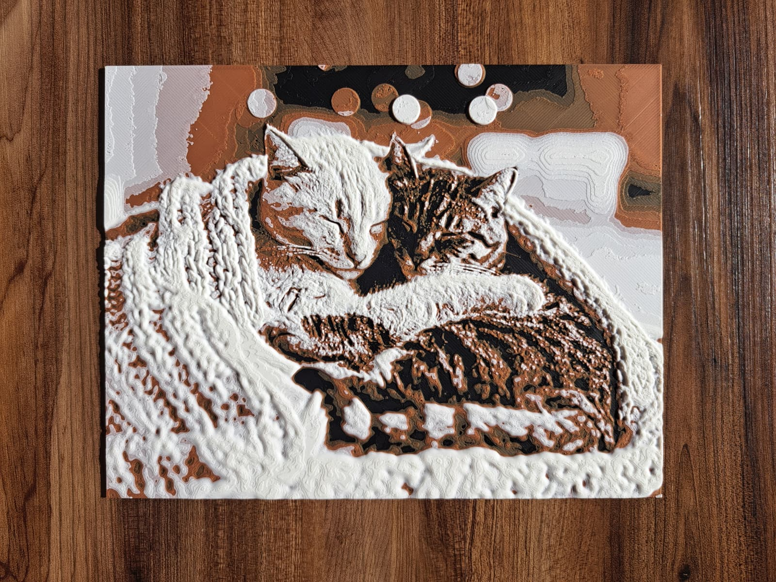 cuddling cats