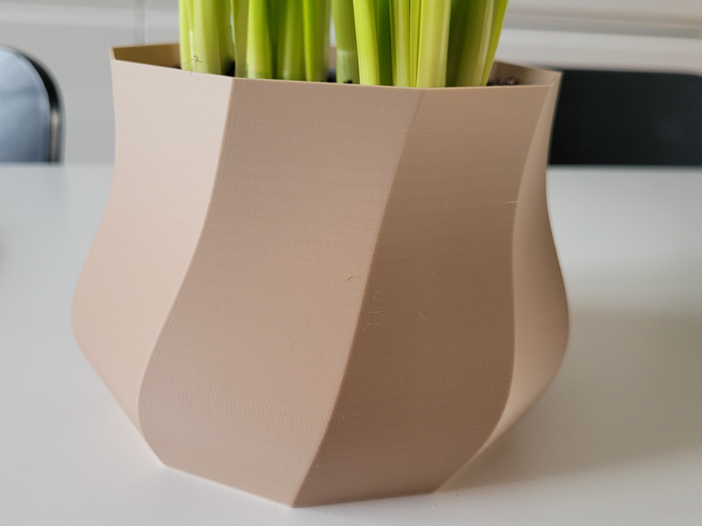 Twisted Geometric Planter / Pot