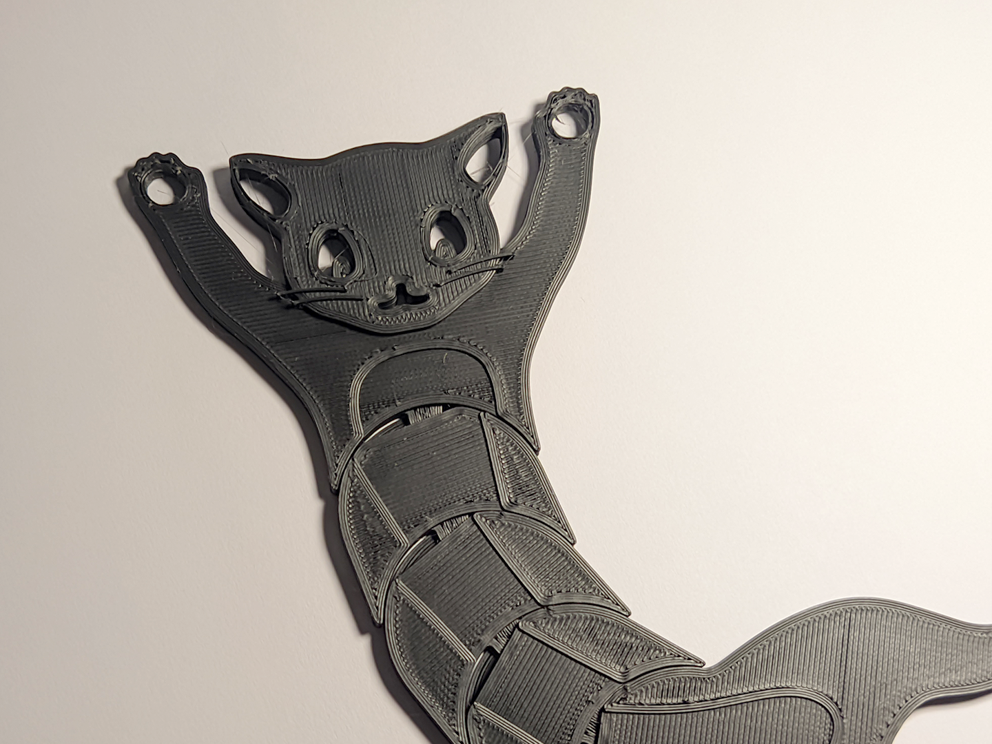 Flex Cat