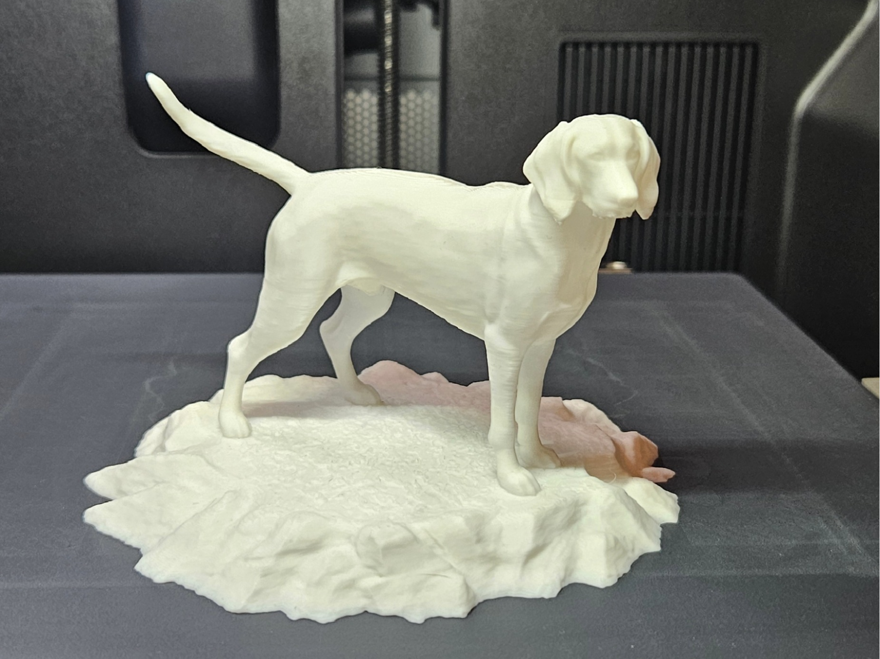 Finnish hound