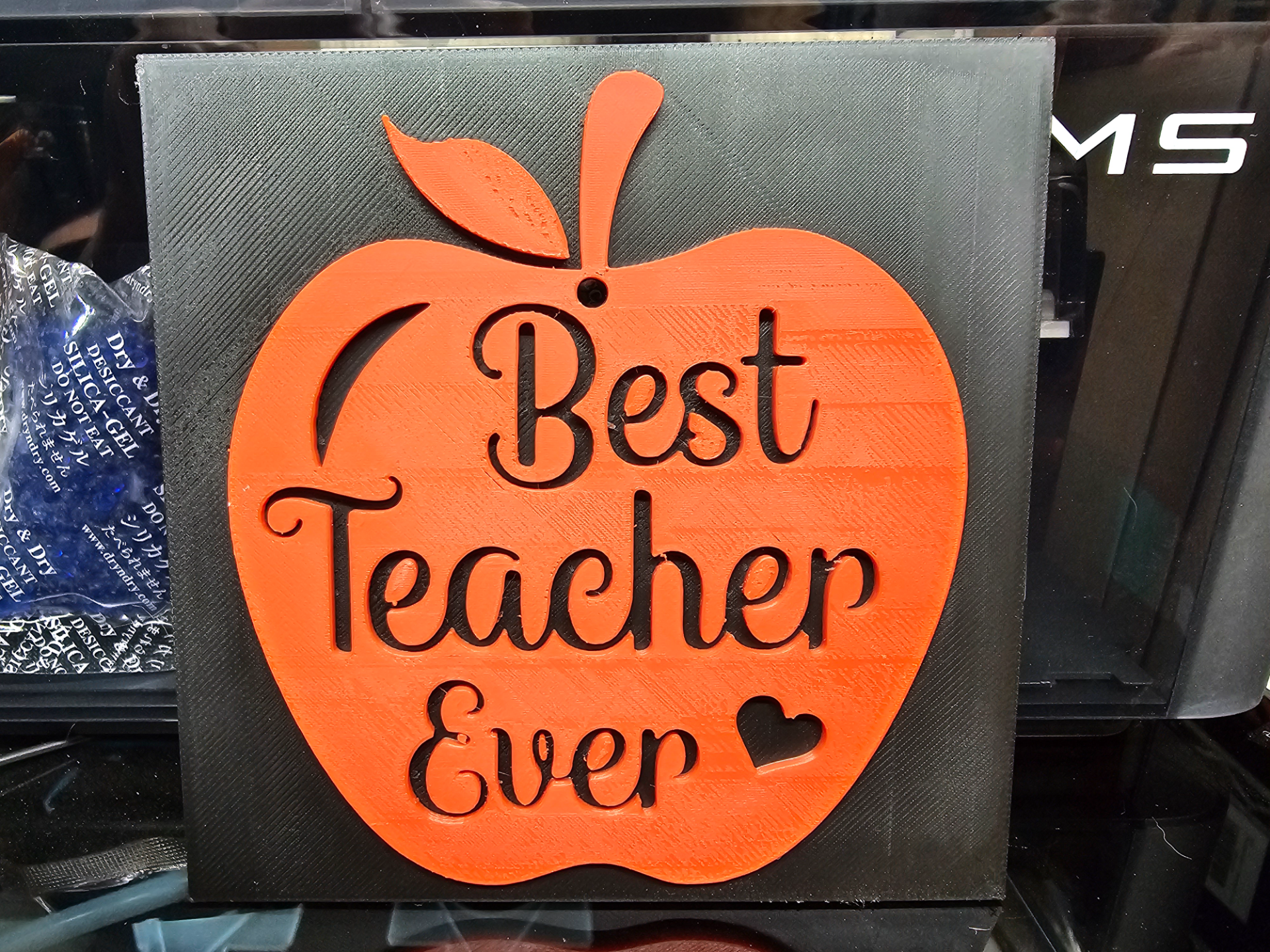 Best Teacher Ever