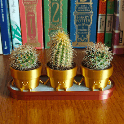 Flowerpot for Ikea mini cactus / succulent
