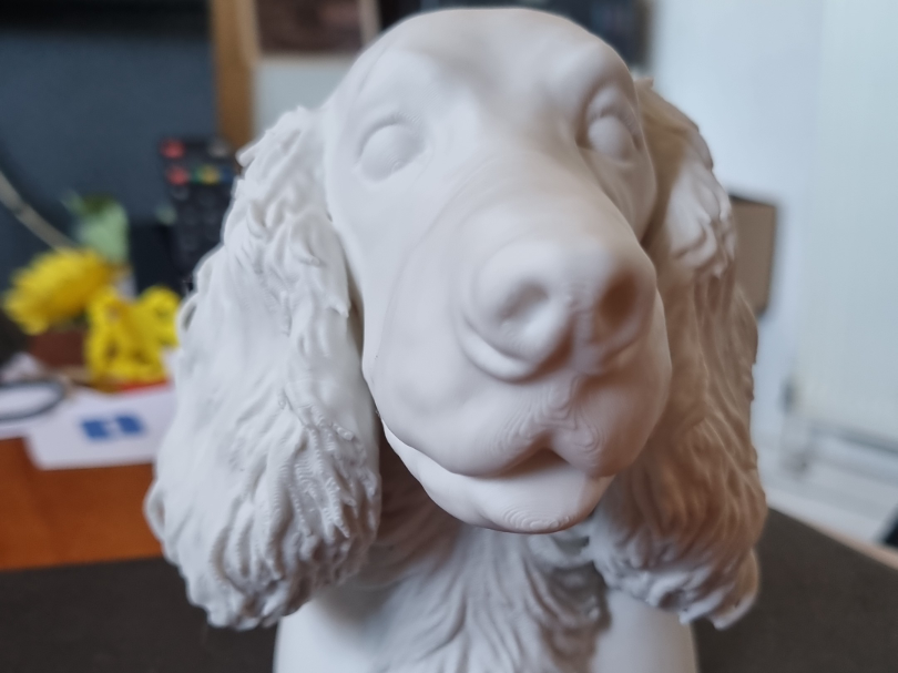 Friends loved pet that passed recently