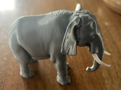 ELEFANTE