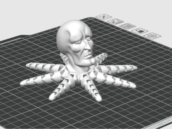 Handsome Octopus