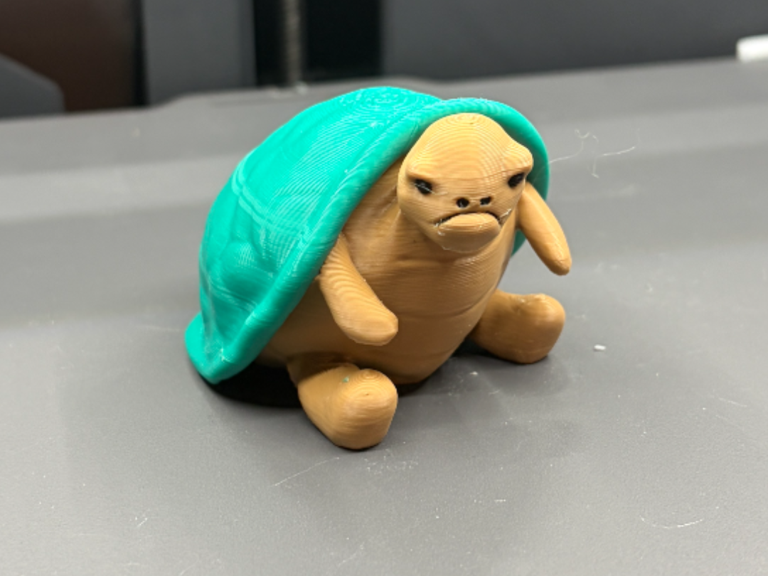 Timmy Turtle