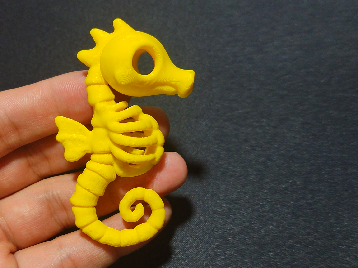 Skeleton Seahorse – The First Friend from the Deep
