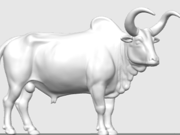 Cow Fighting วัวชนเมืองไทย