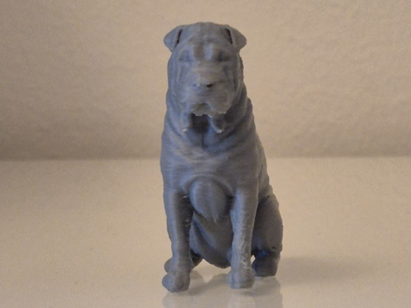 Shar Pei – 3D Printable Dog Statue