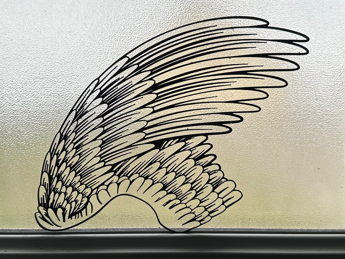 Ailes d'ange  v11