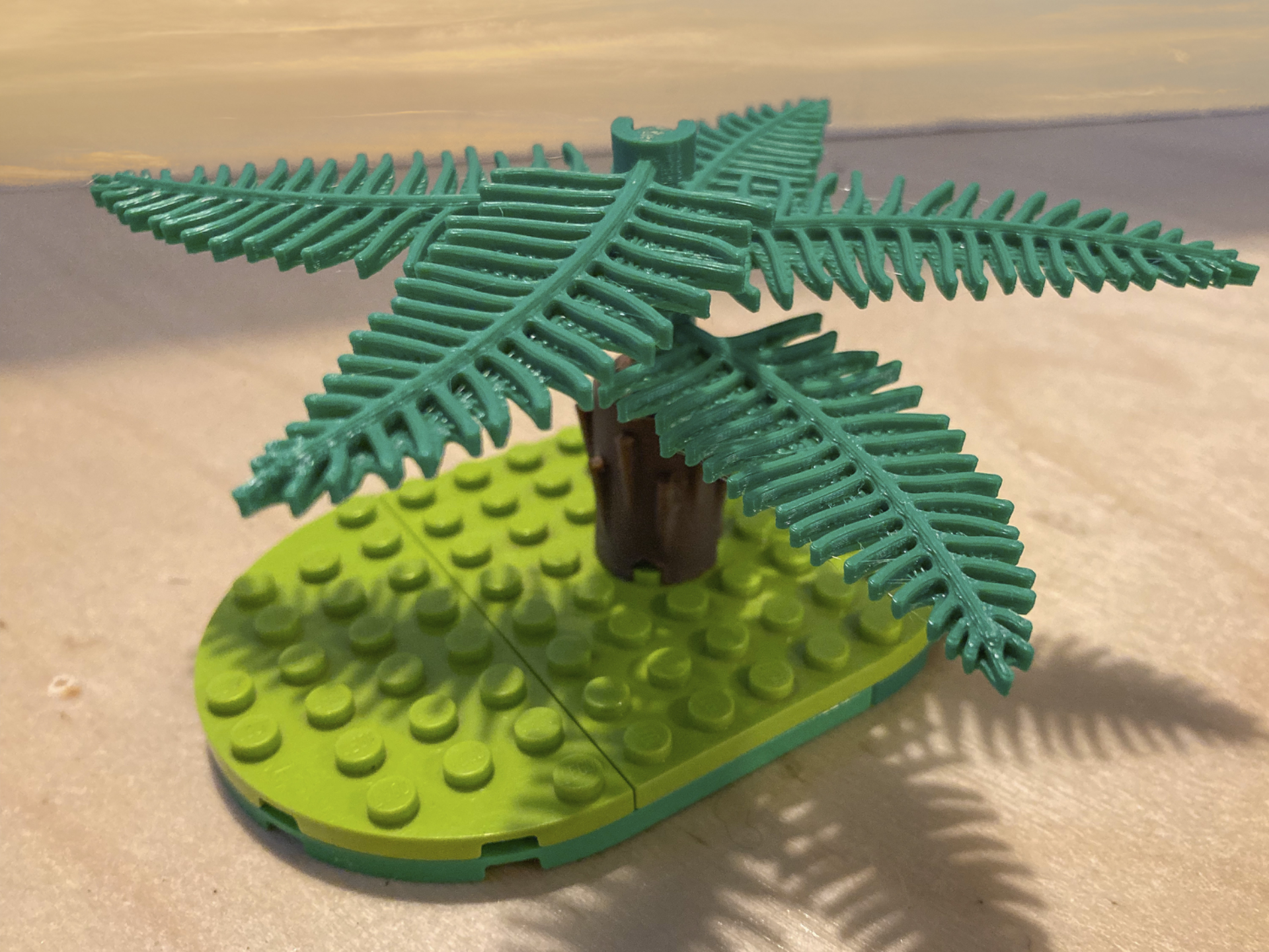 Interlocking brick plants - Afromontane forest