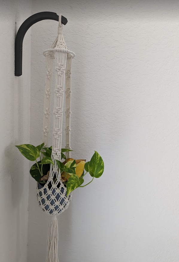 Elegant Plant Wall Hanger