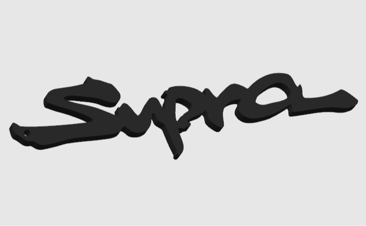 Supra Keychain