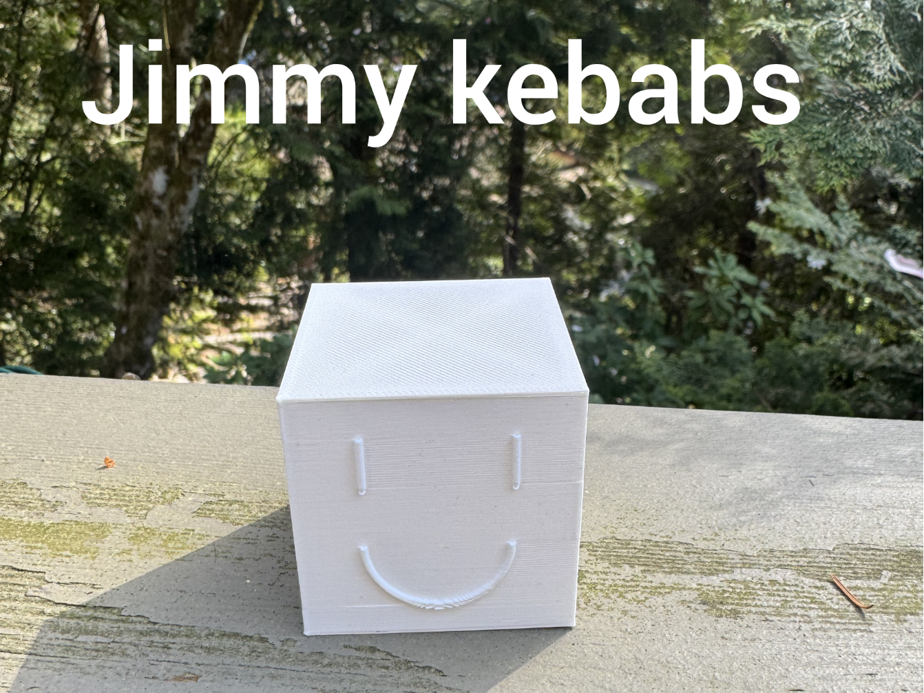 Jimmy kebabs