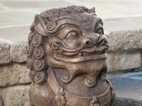 Foo Dog