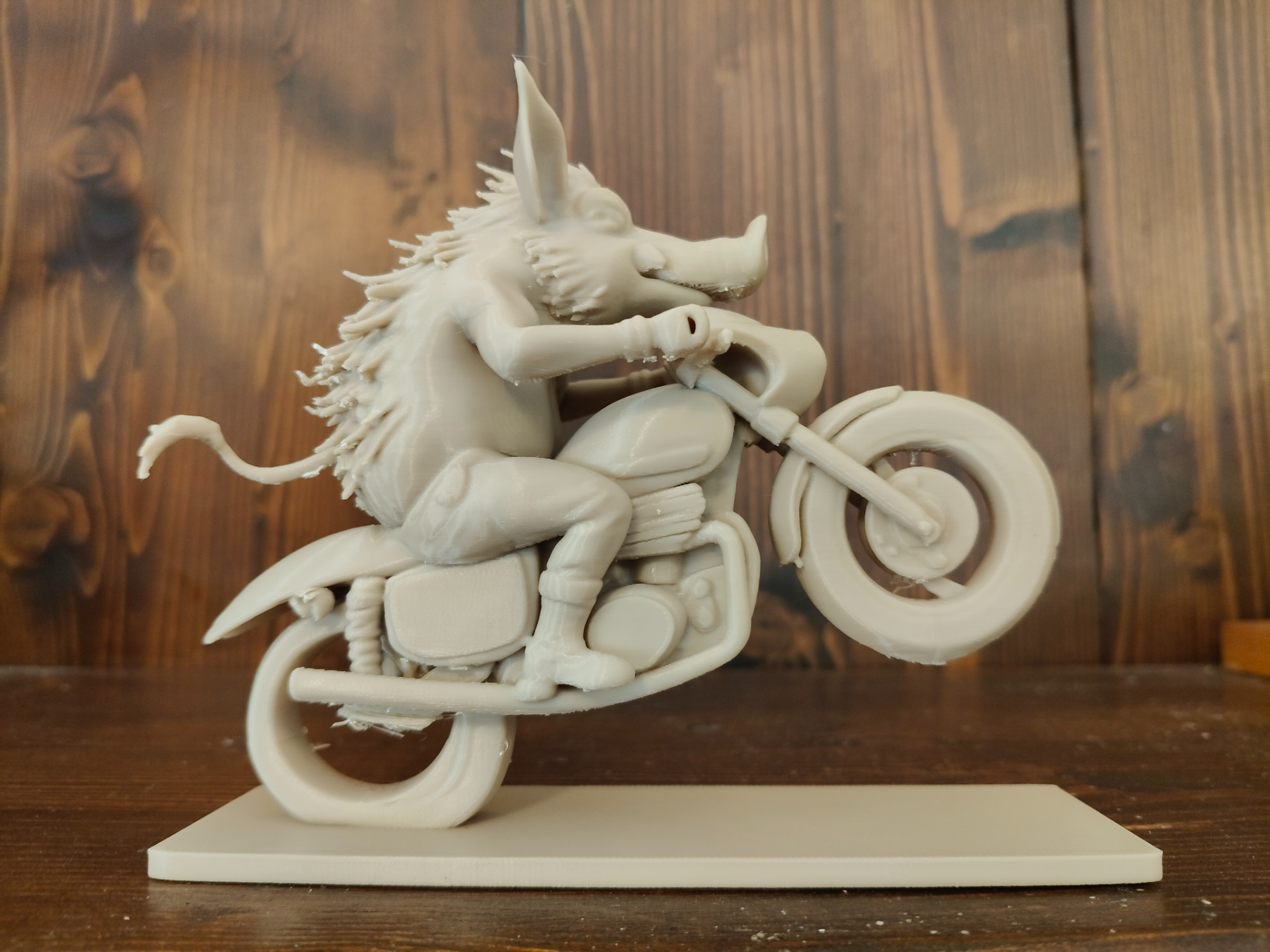 Cinghiale in moto