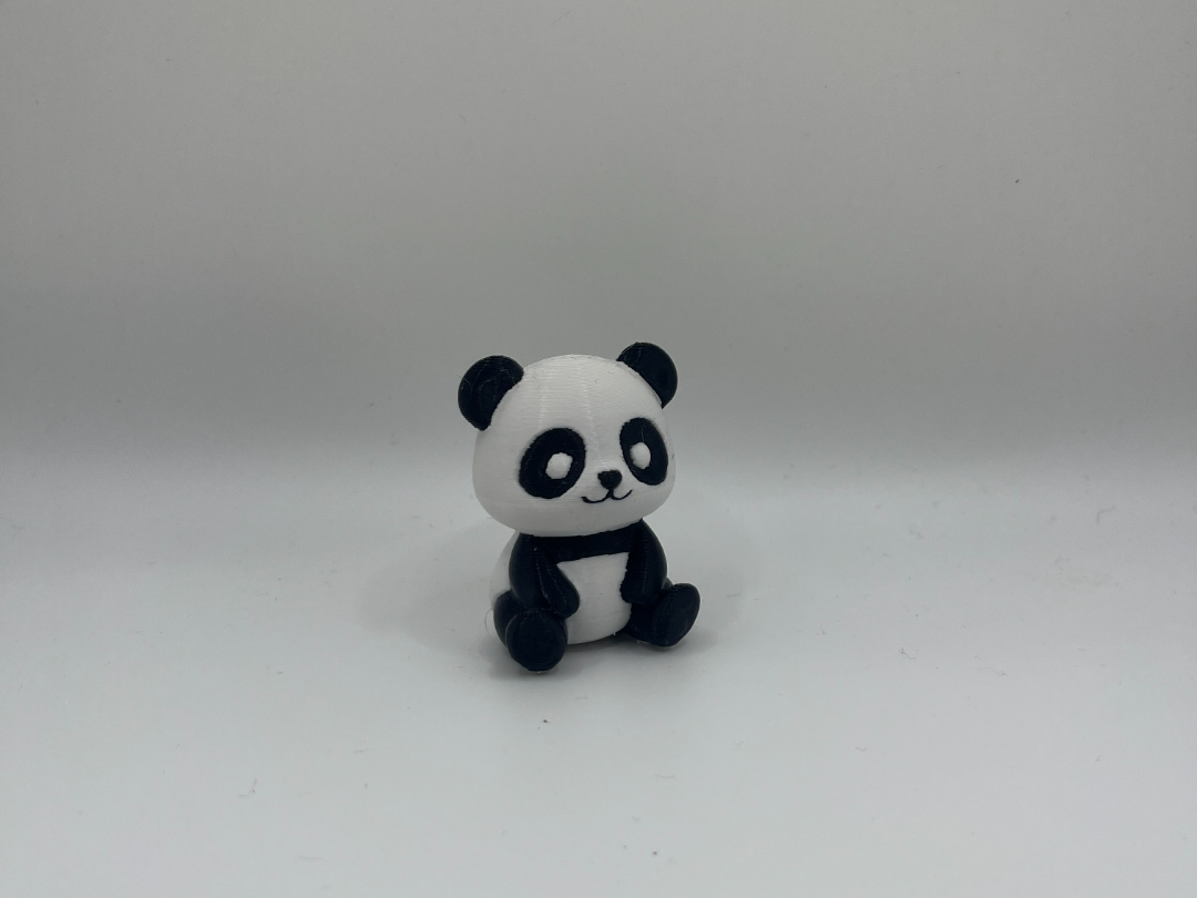 Cute baby panda