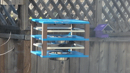 Hanging Bluebird Feed Station, 2 Tier Expandable