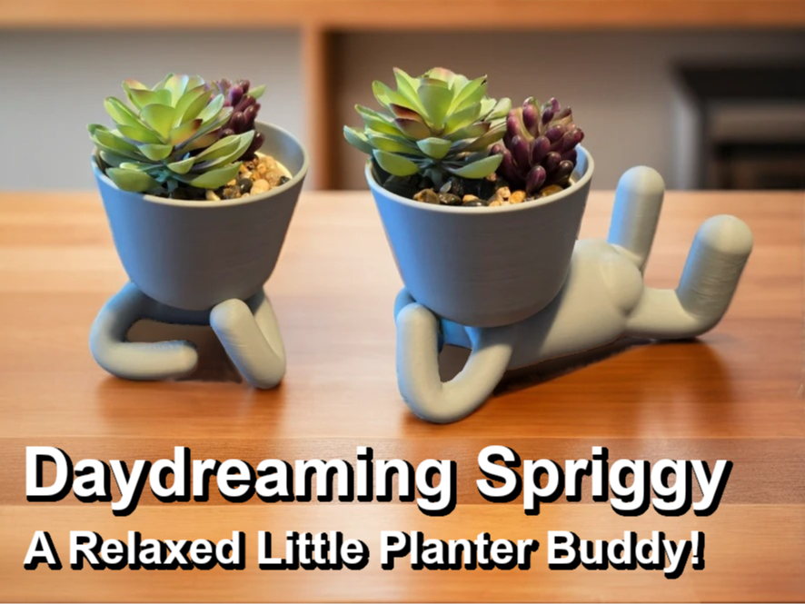Daydreaming Spriggy – A Relaxed Planter Buddy!