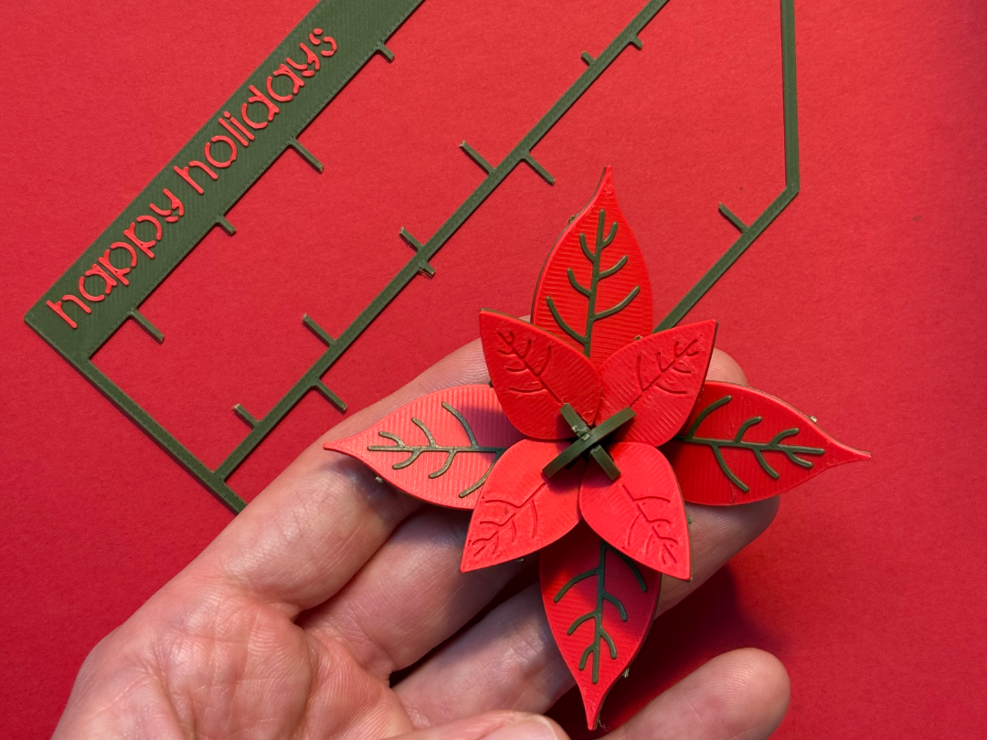 Poinsettia puzzle