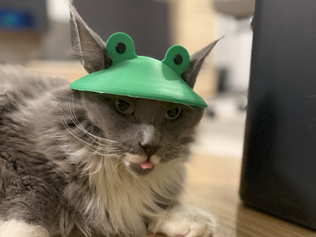 Frog Hat For Cat & Dog