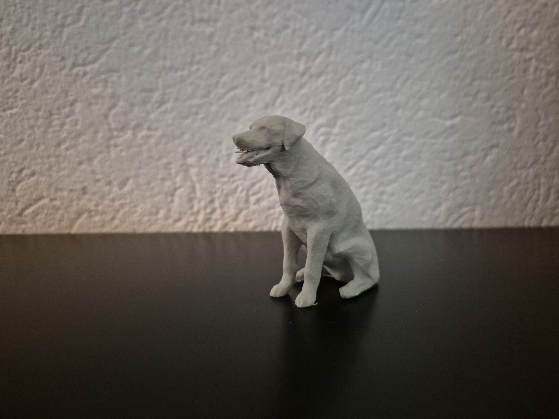 Hund (Labrador)