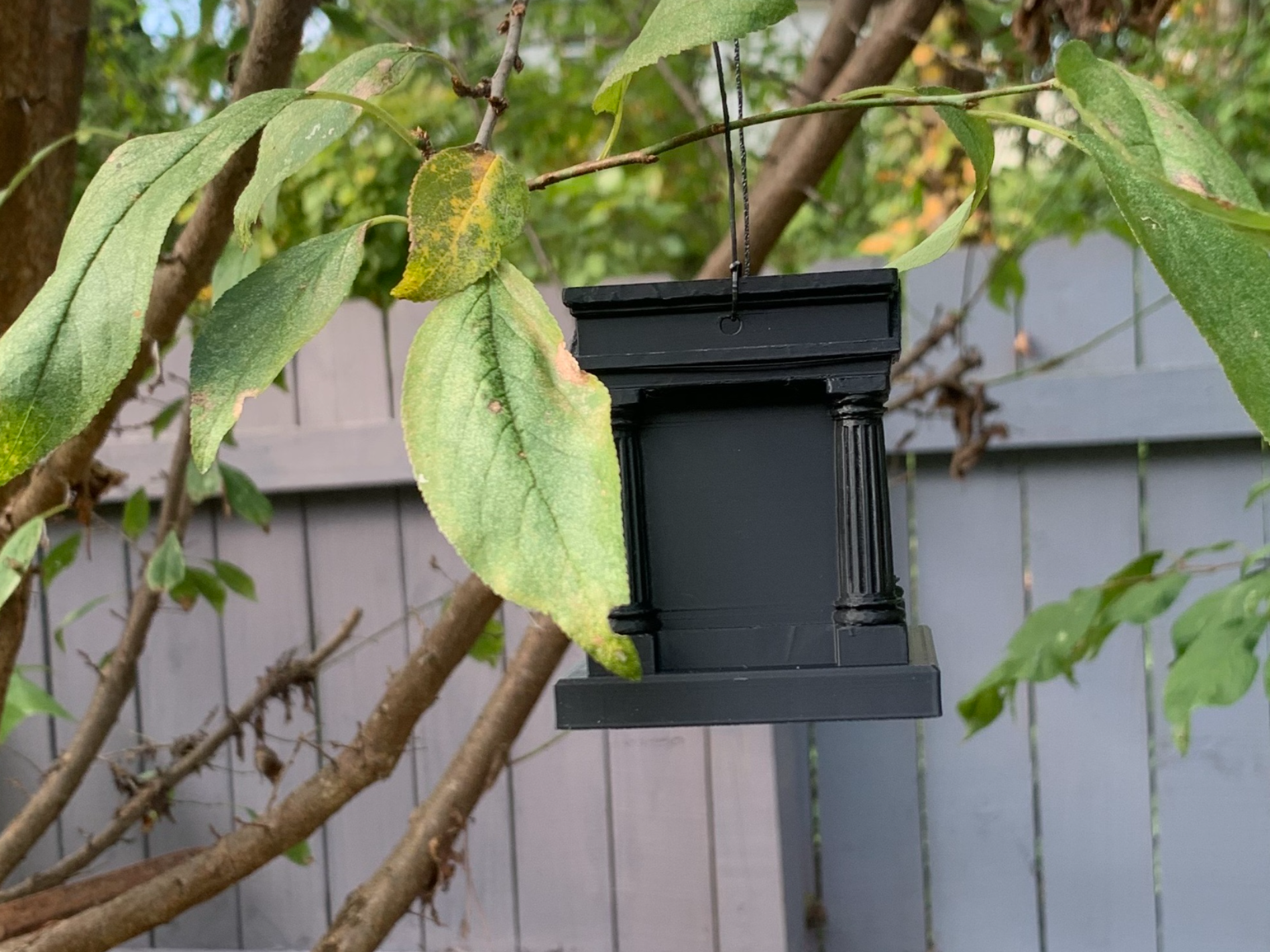 Plant Hanger