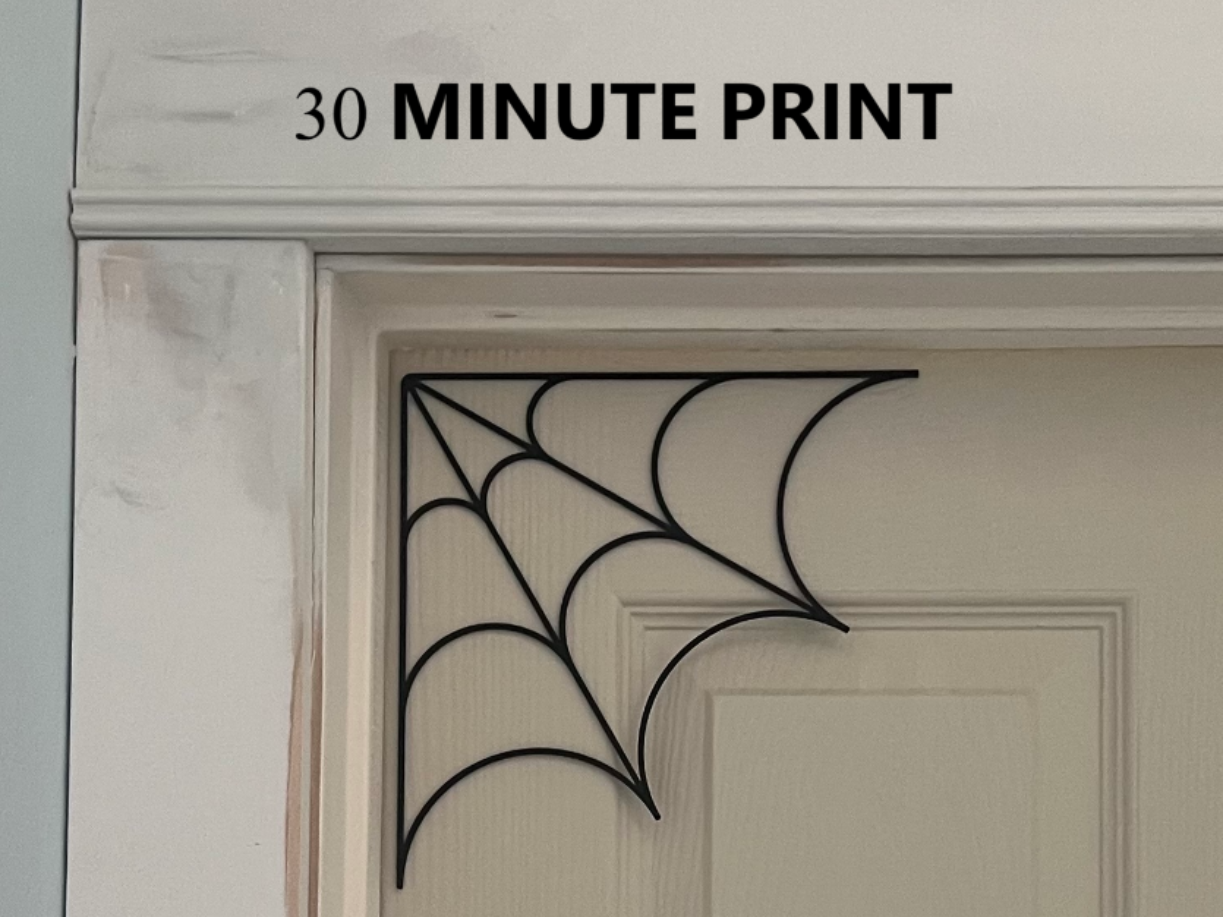 Spider Web