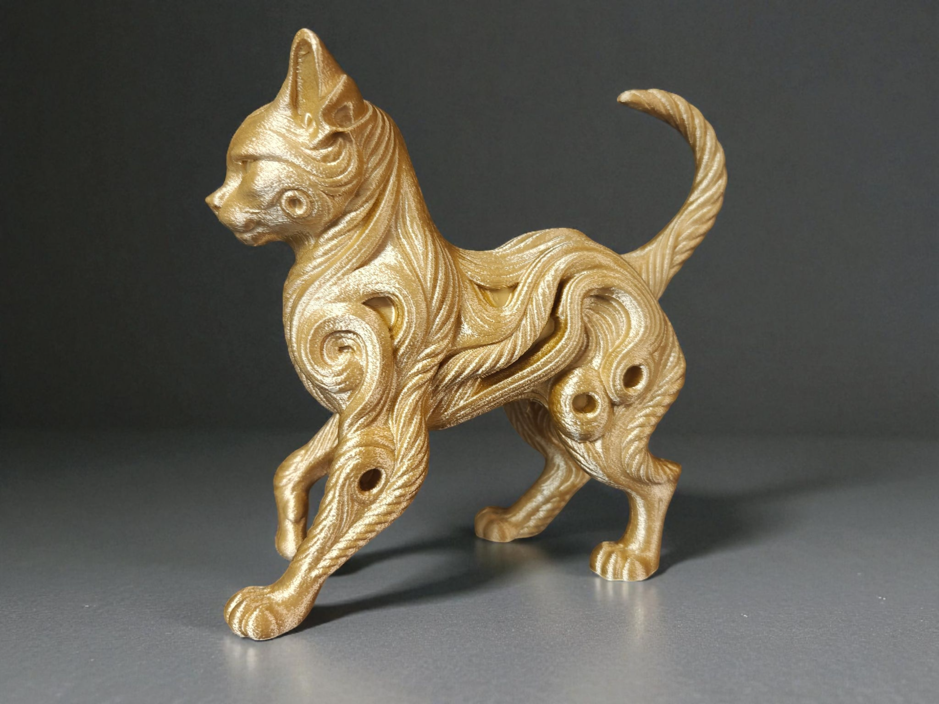 Gato ornamental caminando