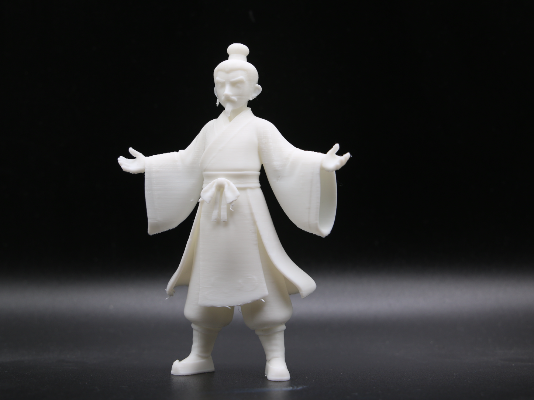 Wise Martial Arts Master
